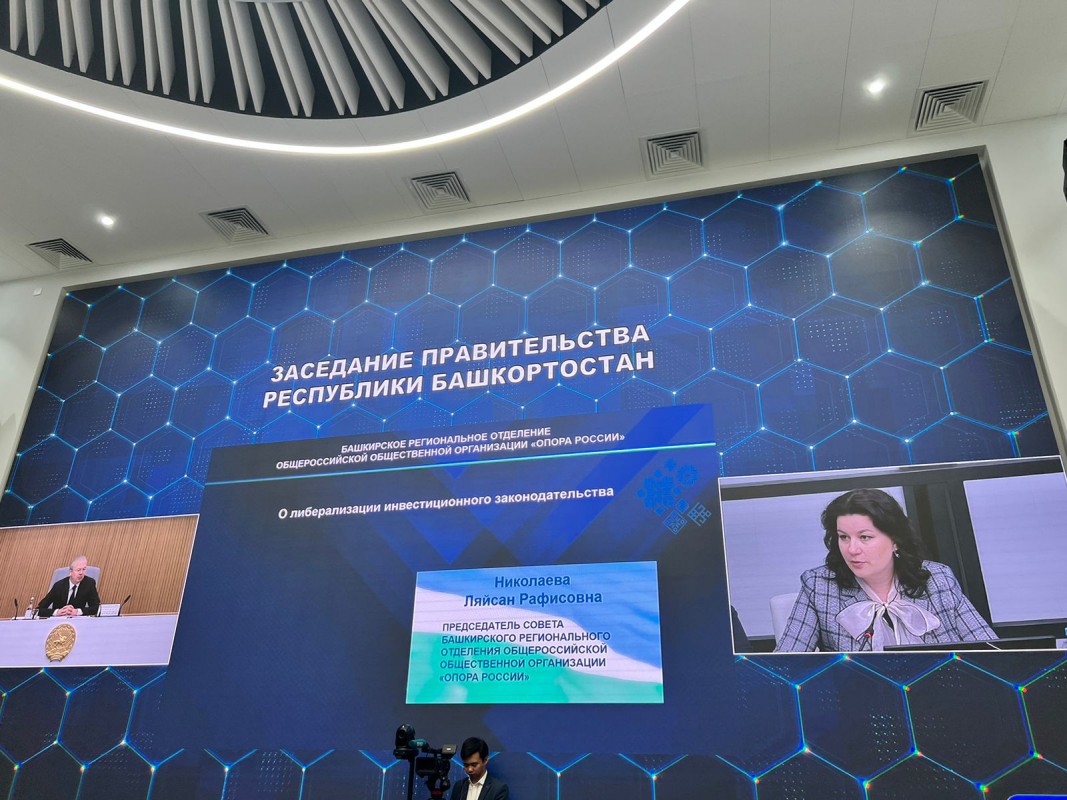 Ляйсан Николаева выступила на заседании Правительства Республики Башкортостан